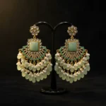 Opulent Luxury Pearl-Embedded Premium Earring - Image 5